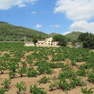 El Pla de ManlleuCasa Rural Cal Marti别墅 Exterior photo