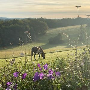 Domaine De Cazal - Gite 2 Pers Avec Piscine Au Coeur De 26 Hectares De Nature Preservee 圣西普里安 Exterior photo