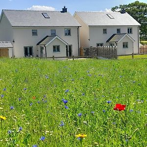 Brecon Beacons Cottage With Stunning Country Views Myddfai Exterior photo