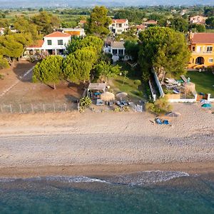 Beach Villa Next To The Waves! Istiaía Exterior photo