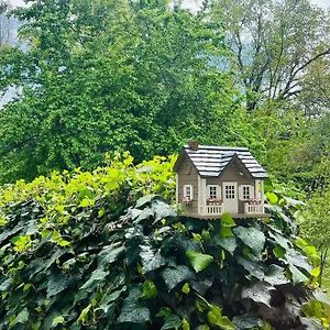 Cozy Private Home, 1 Acre Orchards Near Apple Hill 普莱瑟维尔 Exterior photo