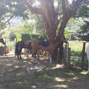 CotorrioApartamento Rural Zuri公寓 Exterior photo