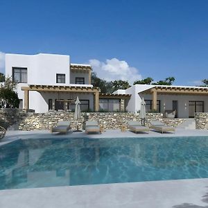 Amazing Villa 6Bed In Agios Lazaros Mykonos 普沙罗 Exterior photo