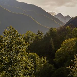 Wild Valley Garden Paradise In Valle Onsernone Auressio Exterior photo