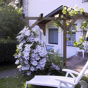 Ferienwohnung Haus Wehrbusch Kyllburg Exterior photo