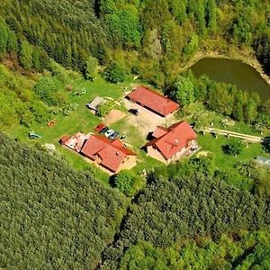 Large Holiday Home For Nature Lovers Tuczno Exterior photo