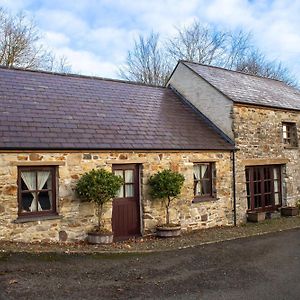 Y Cartws Llanwenog别墅 Exterior photo