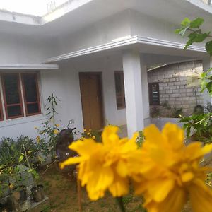 Coorg 369 Home Stay 马迪凯里 Exterior photo