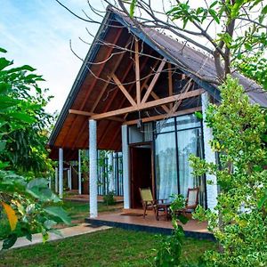 Passi Nature Villas Pasikuda 卡尔库达 Exterior photo