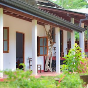 Sinharaja Forest Lodge 代尼耶耶 Exterior photo