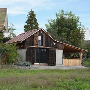 布鲁格Tiny House Chez Claudine - Relaxen, Workspace, Naehe Thermen, Netflix, Free Parking & Wifi别墅 Exterior photo