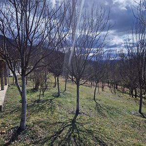 Mountain Home Paravci Cajnice Exterior photo