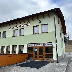 Penzion Uhliska Nižná Exterior photo