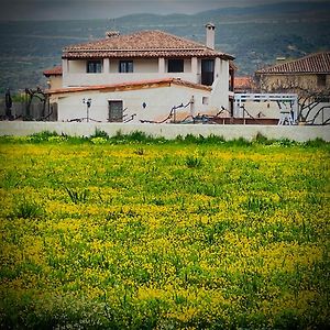 Los Diezmos Torremocha de Jarama Exterior photo