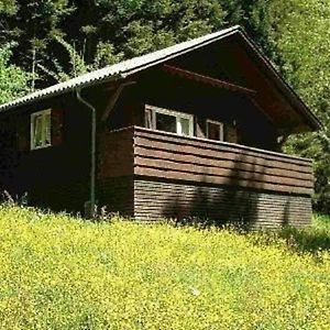 Ferienhaus Fur 4 Personen Ca 42 Qm In Hohenweiler, Vorarlberg Bodensee Exterior photo