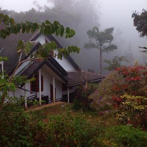 Mount Nook Holiday Bungalow 哈普特莱 Exterior photo