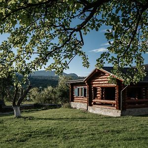 Casa Din Busteni, Maramures Hoteni Exterior photo