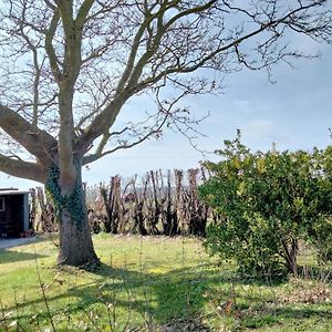 Oestermark Ærøskøbing Exterior photo