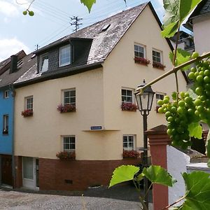 Das Tolle Ferienhaus An Der Mosel Fur Familien Und Kleine Gruppen Mit Bis Zu 10 Personen 乌尔齐希 Exterior photo