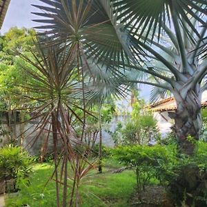 Villa Garden 阿拉卡茹 Exterior photo