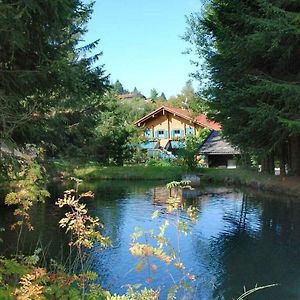 米特菲厄姆恩斯罗伊特Mitterdorf Modern Retreat别墅 Exterior photo