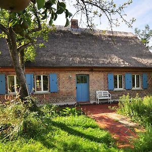 Historisches Reetdachhaus Mit Bauwagen Und Grossem Obstgarten 约科蒙德 Exterior photo