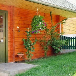 Blockhouse In The Fuchsbau Bad Sachsa别墅 Exterior photo