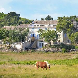 Classy Apartment In Villes Que Des Corbi Res With Swimming Pool Villeseque-des-Corbieres Exterior photo