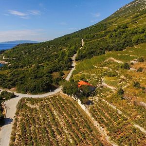 Holiday Home In Vineyard Paradise Dingac Peljesac Potomje Exterior photo