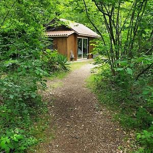 胡菲涅克Cabane Des Bois公寓 Exterior photo