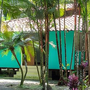 曼萨尼约Jungle Dreamz别墅 Exterior photo