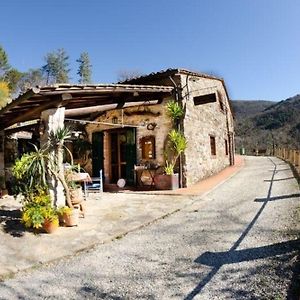 Ferienhaus Mit Privatpool Fur 4 Personen Ca 50 Qm In Carignano Di Lucca, Toskana Provinz 卢卡 Exterior photo