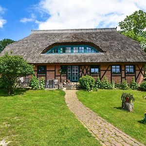 Wohnung In Gross Stresow Mit Garten Und Terrasse 普特布斯 Exterior photo