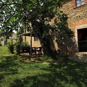 Grosse Ferienwohnung In Rapale Mit Grill, Gemeinsamem Pool Und Garten Exterior photo