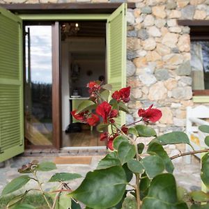 维利卡Country House Spitaki Γραφείο公寓 Exterior photo