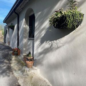 Casa Foelas The Garden Apartment Casoli  Exterior photo