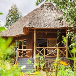 Rutete Eco Lodge Rwinkwavu Exterior photo