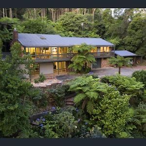 Forest Hideaway - Puffing Billy Railway 墨尔本 Exterior photo