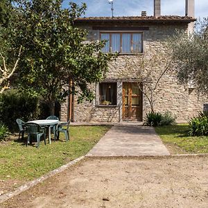 维基奥Agriturismo Il Ponte别墅 Exterior photo