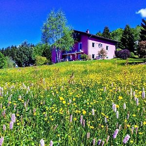 Ferienwohnung Fur 2 Personen Ca 40 Qm In Neureichenau, Bayern Bayerischer Wald Exterior photo