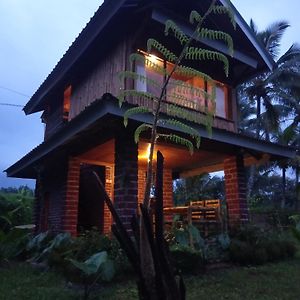 Coconut Homestay 特特巴图 Exterior photo