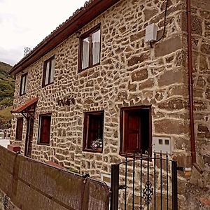 Las Monas Casa Rural 波拉·德莱纳 Exterior photo