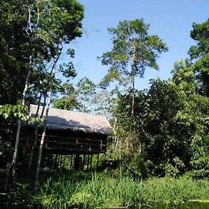 Bromelia Lodge Iquitos 伊基托斯 Exterior photo