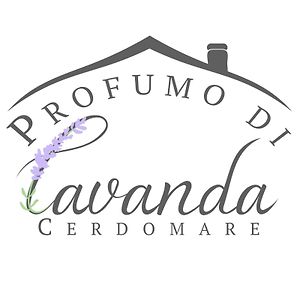 波焦莫亚诺Profumo Di Lavanda公寓 Exterior photo