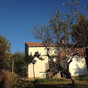 La Petite Maison Rustique Eyzerac Exterior photo