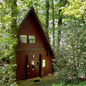 Cowslip Lodge - Your Peaceful Retreat In South Devon Chudleigh Exterior photo