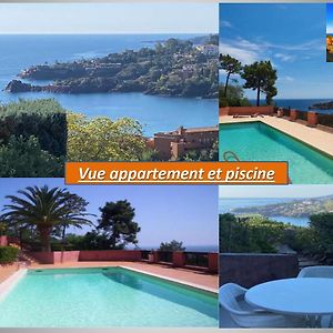 Appartement 4 Pers Vue Mer Theoule Sur Mer Exterior photo