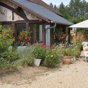 Gite Rustique A Cheverny: Nature, Tennis, Animaux Bienvenus, Peche Et Chateaux De La Loire A Proximite - Fr-1-491-366别墅 Exterior photo