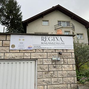 DunabogdányThe Pearl Of The Danube Bend - Regina Apartman公寓 Exterior photo