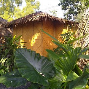 Samui Circus Studio Ville Deluxe Hut Bungalow 1 苏梅岛 Exterior photo